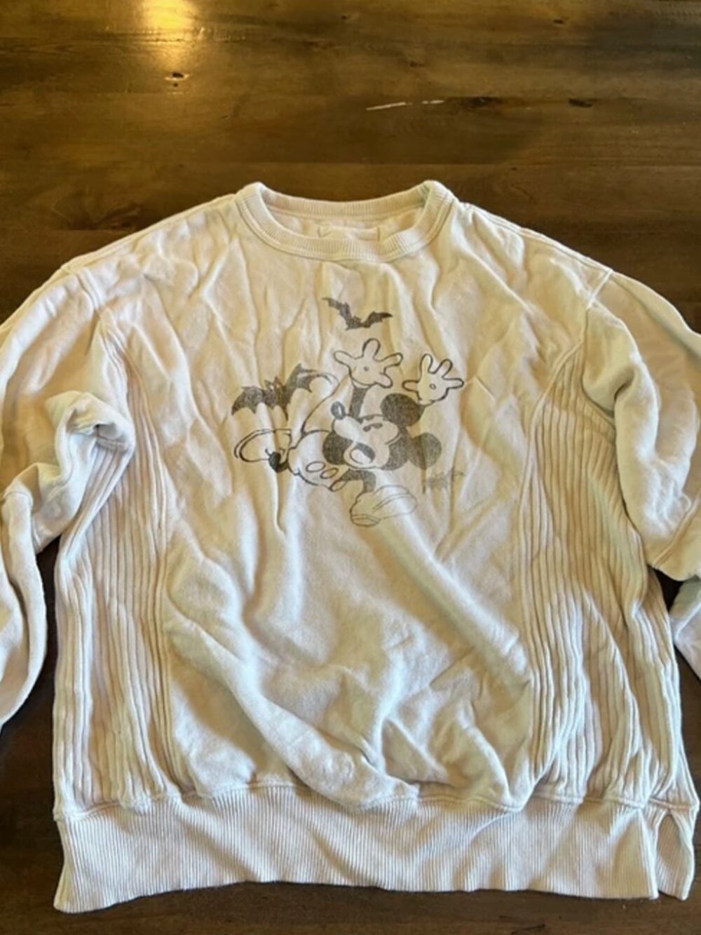 Aerie Disney Mickey Minnie Halloween Sweatshirt XXS